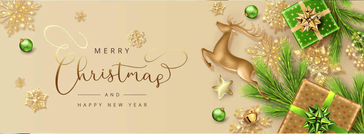 Front Page -IceEdge Sales Store 131